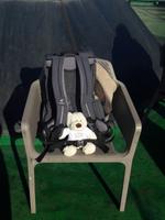 Bärchen auf Reisen