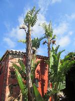 Casa del Vino (4)