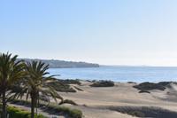 Dünen Maspalomas