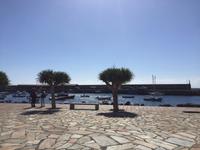 Der Hafen von Candelaria 