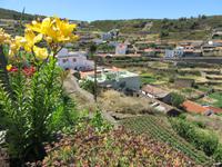 El Cercado (2)