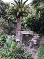 Garachico 