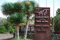 Garajonay National Park
