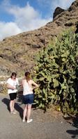 Gomera - Mirador Mulagua (1)