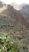 Gran Canaria - Höhlenwohnungen Guayadeque (4)