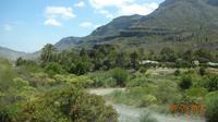 Gran Canaria - Palmenhain