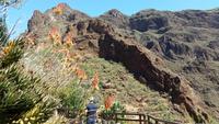 Gran Canaria - Rundreise – Inselhüpfen auf den Kanaren