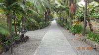 Gran Canaria - im Garten der Gräfin