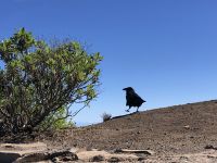 Gran Canaria 