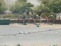 Gran Canaria