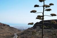 Gran Canaria