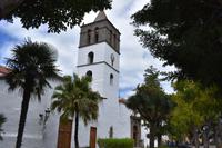 Icod de los Vinos