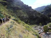 Im Palmental - der Süden von La Gomera