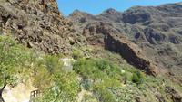 Inselhüpfen auf den Kanaren - Gran Canaria
