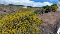 Inselhüpfen auf den Kanaren - La Palma - Sterne Observatorium