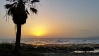 Inselhüpfen auf den Kanaren - Teneriffa