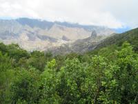 Juego de Bolas (16)