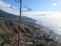 La Concepción (1)