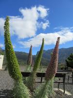La Cumbrecita (1)