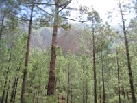 La Cumbrecita (6)