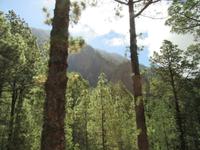 La Cumbrecita (7)