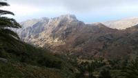La Gomera - Rundreise – Inselhüpfen auf den Kanaren