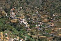 La Gomera - Valle Gran Rey
