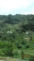 La Gomera - im Palmental