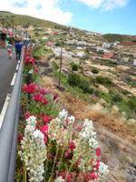 La Gomera