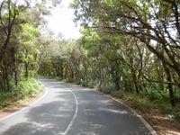 La Gomera