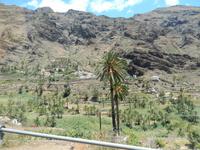 La Gomera