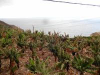 La Gomera