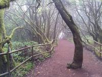 La Gomera