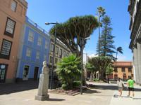La Laguna (10)