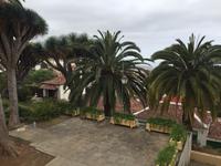 La Orotava