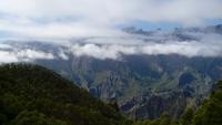La Palma - Cumbrecita (1)