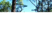 La Palma - La Cumbrecita