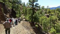 La Palma - Rundreise – Inselhüpfen auf den Kanaren