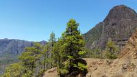 La Palma - Rundreise – Inselhüpfen auf den Kanaren