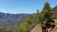 La Palma - Rundreise – Inselhüpfen auf den Kanaren
