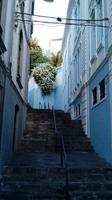 La Palma - Santa Cruz (1)