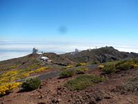 La Palma