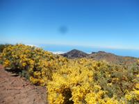 La Palma