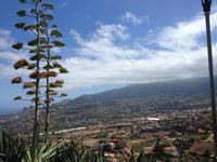 La Palma