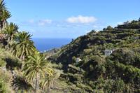 La Palma