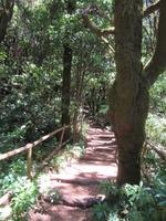 Laguna Grande (13)