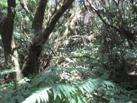 Laguna Grande (6)