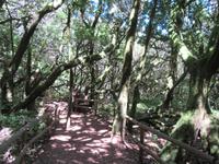 Laguna Grande (9)