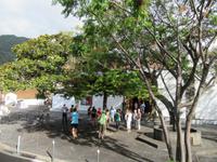 Las Nieves (8)