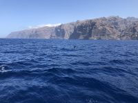 Los Gigantes 